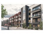 Seton Render 2