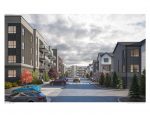 Seton Render 5